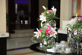 Plaza Inn Business Hotel