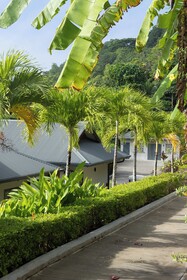 Paradise Chalets Yoga & Wellness