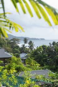 Paradise Chalets Yoga & Wellness