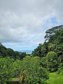 Paradise Chalets Yoga & Wellness