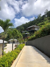 Paradise Chalets Yoga & Wellness