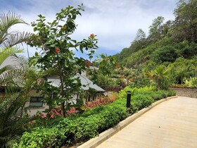 Paradise Chalets Yoga & Wellness