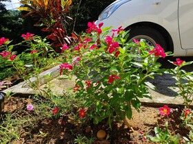 Kanasuk Self Catering Apartments