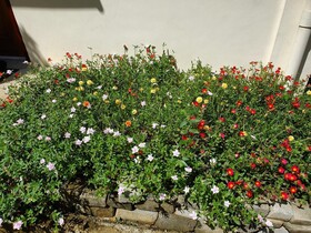 Kanasuk Self Catering Apartments