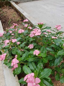 Kanasuk Self Catering Apartments