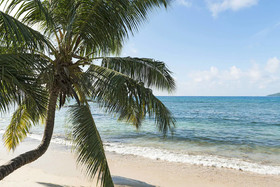 Fisherman's Cove Resort