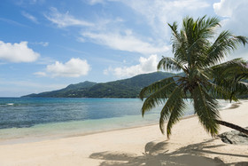 Fisherman's Cove Resort