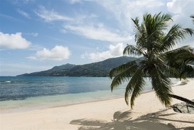 Fisherman's Cove Resort