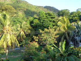 Ocean & Beach View Villa