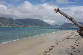 Fairy Tern Chalets