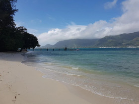 Fairy Tern Chalets