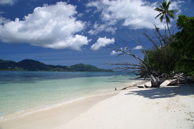 Fairy Tern Chalets