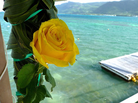 L'Habitation Cerf Island