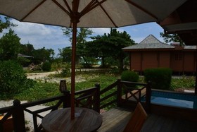 Heliconia Grove