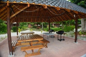 Heliconia Grove