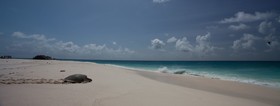 Cousine Island Resort