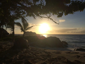 Cousine Island Resort