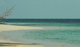 Four Seasons Resort Seychelles at Desroches Island