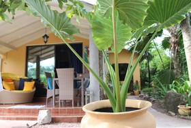 Oceane Self Catering