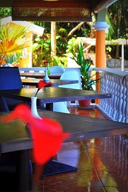 Albizia Lodge
