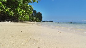 Reef Holiday