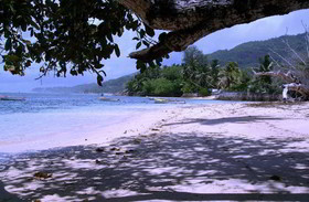 Reef Holiday