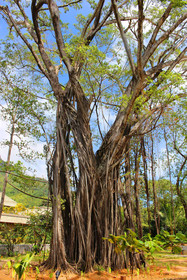 STORY Seychelles