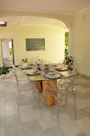 The Olive Tree
