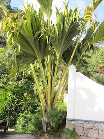 The Station Retreat Hotel Seychelles