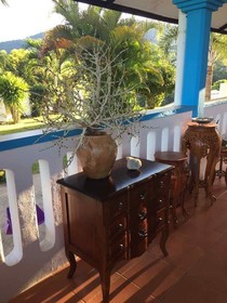 Villa Citronella