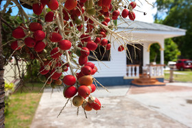 Villa Aya
