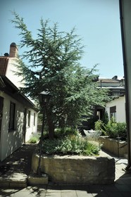 Villa Borgen