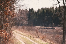 Farmlodge