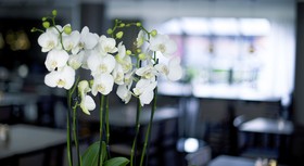 Quality Hotel Winn Göteborg