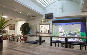 Dream Luxury Hostel