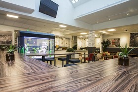 Dream Luxury Hostel