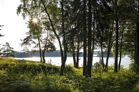 Djurönäset