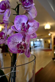 Optima Hotel Roslagen