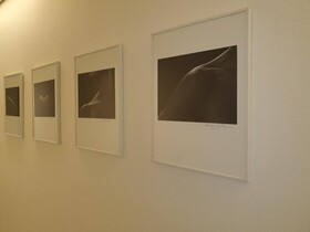 Hotel Dialog Ariston Lidingö