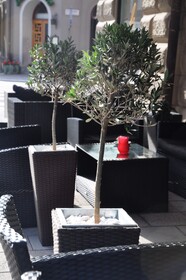 Hotel Ruth, WorldHotels Crafted