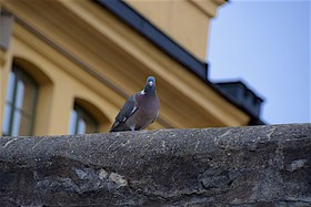 Långholmen Hotell