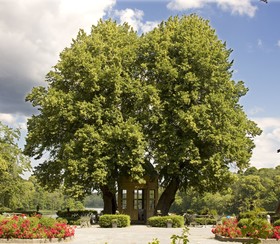 Hotel Stallmästaregården