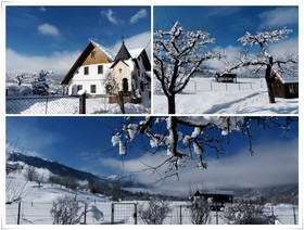 Zotlar House