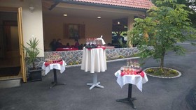 Domacija Vodnik