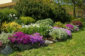 Vineyard Cottage Drazumeric