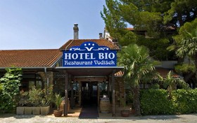 Bio