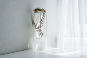 Hotel & Restavracija Morea