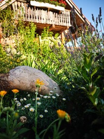 Chalets Toplak