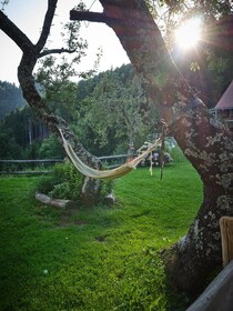 Chalets Toplak