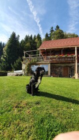 Chalets Toplak